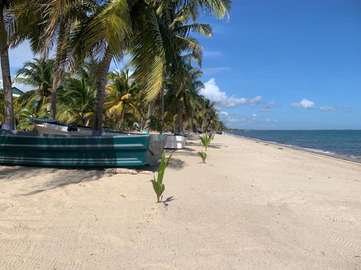All Seasons Belize Hopkins Exterior foto